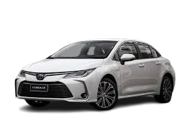 images__4_-removebg-preview